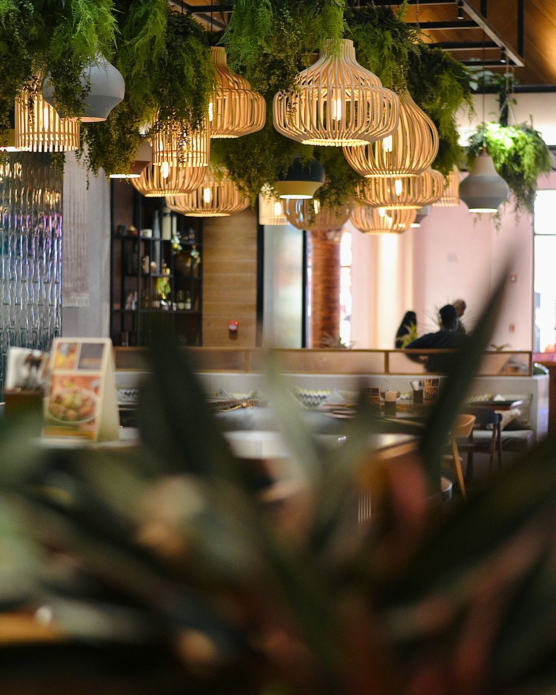 Rattan sarkıt lambalar ve tavandan sarkan yeşilliklerle restoran salonu, önde bulanık bir bitki